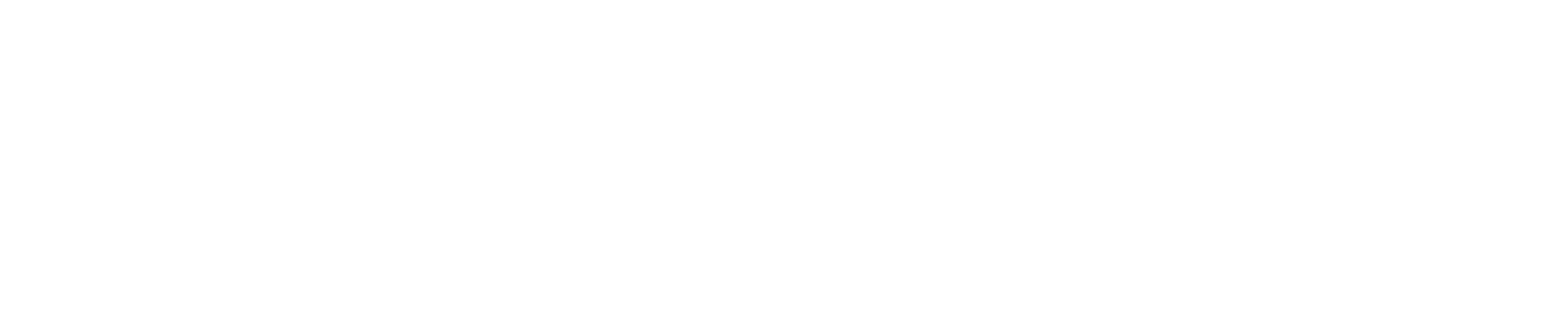 Logo der ANIMO Services GmbH. Weiß.